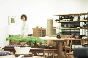 大阪HDCショールーム：タカラスタンダードの魅力と店舗情報の詳細解説